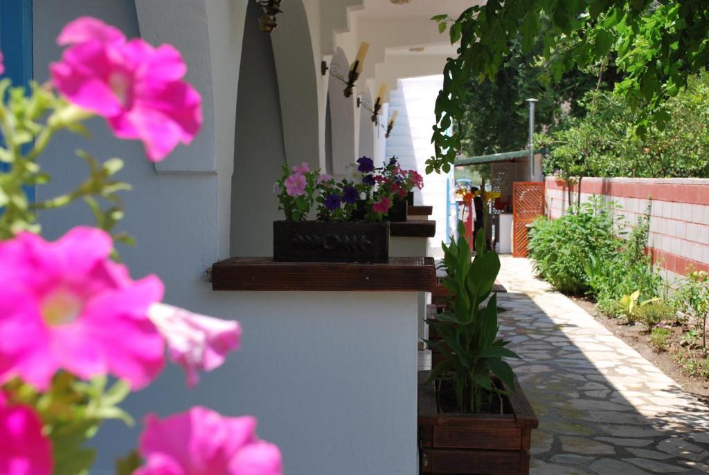 Myra Hotel Dalyan Extérieur photo